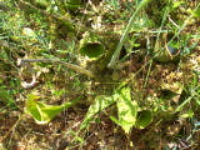 100_1592.jpg